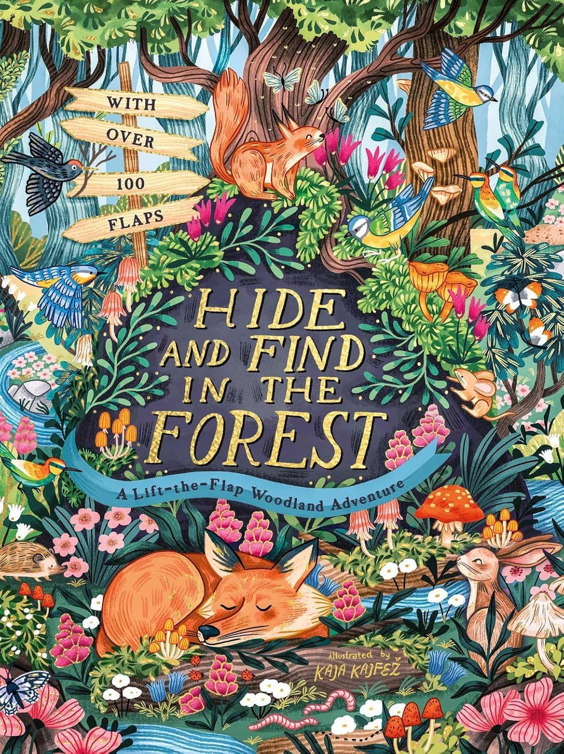 Hide and Find in the Forest: A Lift-the-Flap Woodland Adventure: A Lift The Flap Adventure