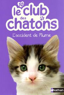 Le club des chatons. Vol. 10. L'accident de Plume