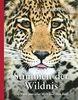 Stimmen der Wildnis: 100 Tiere aus aller Welt und ihre Rufe