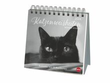 Wegler Katzen Weisheiten Premium-Postkartenkalender 2024