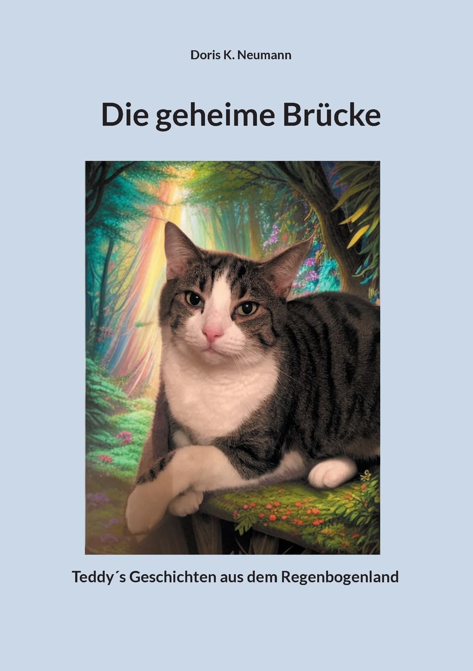 Die geheime Brücke: Teddy´s Geschichten aus dem Regenbogenland