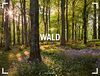 Wald - Gallery Kalender 2021, Wandkalender im Querformat (66x50 cm) - Großformat / Hochwertiger Panorama-Kalender Natur, Wälder und Bäume