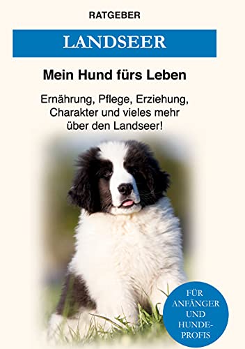 Landseer: Ernährung, Pflege, Erziehung, Charakter und vieles mehr über den Landseer