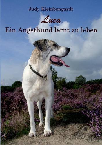 Luca: Ein Angsthund lernt zu leben