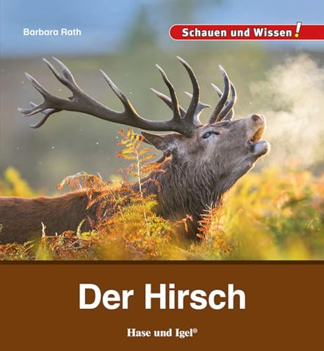 Der Hirsch: Schauen und Wissen!