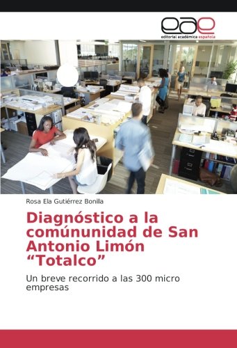 Diagnóstico a la comúnunidad de San Antonio Limón “Totalco”: Un breve recorrido a las 300 micro empresas
