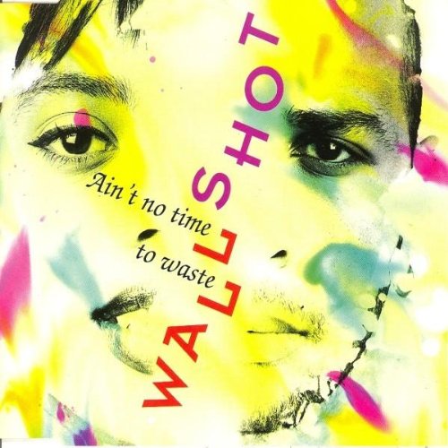 Ain'T No Time to Waste - Très bon état N/A sur Momox Shop