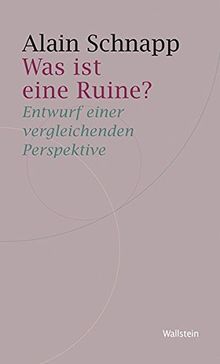 Was ist eine Ruine?: Entwurf einer vergleichenden Perspektive (Historische Geisteswissenschaften. Frankfurter Vorträge)