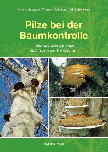Pilze bei der Baumkontrolle - Antje Lichtenauer Thomas Kowol Dirk Dujesiefken Kartoniert (TB)