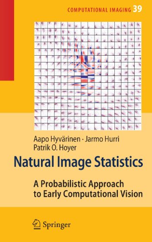 Natural Image Statistics: A Probabilistic Approach to Early Computational Vision. (Computational Imaging and Vision)