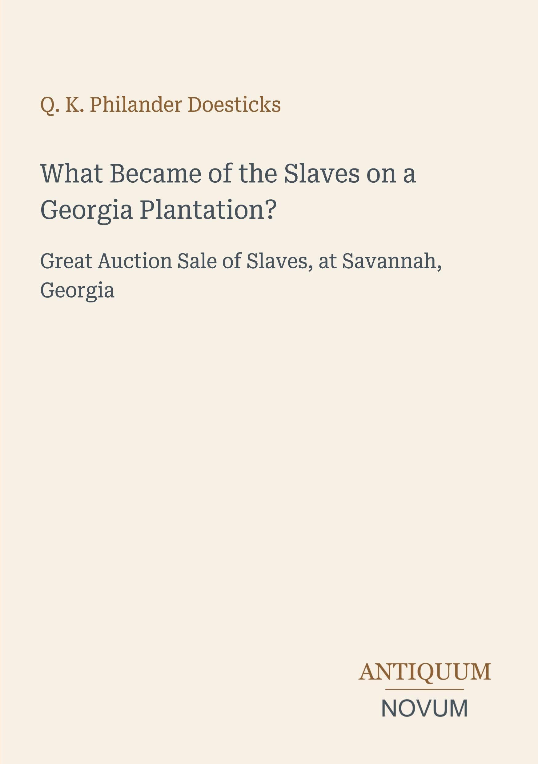 What Became of the Slaves on a Georgia Plantation?