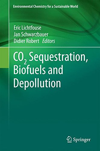 CO2 Sequestration, Biofuels and Depollution (Environmental Chemistry for a Sustainable World)