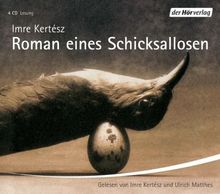 Roman eines Schicksallosen