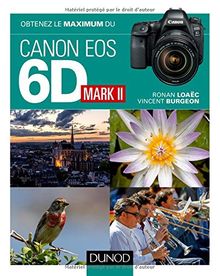 Obtenez le maximum du Canon EOS 6D Mark II von Loaëc, Ronan, Burgeon, Vincent | Buch | Zustand gut