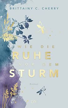 Wie die Ruhe vor dem Sturm: Special Edition (Chances-Reihe, Band 1)
