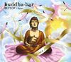 Best of Buddha Bar (1997-2013)