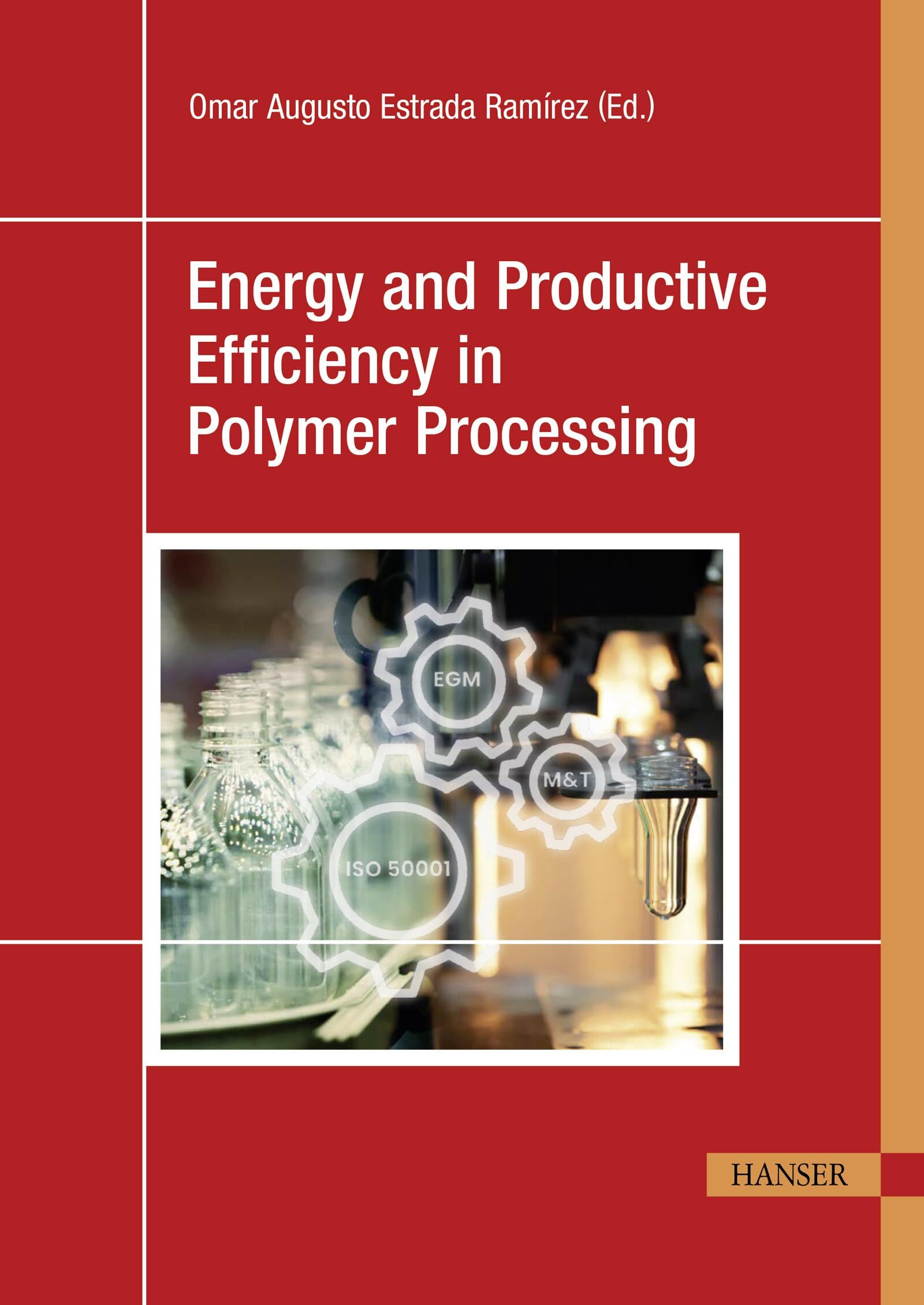 Energy and Productive Efficiency in Polymer Processing