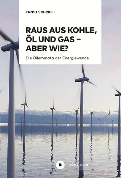 Raus aus Kohle, Öl und Gas – aber wie?: Die Dilemmata der Energiewende