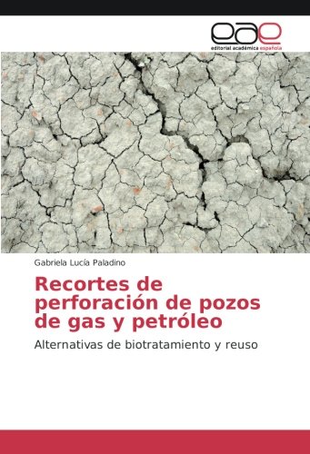 Recortes de perforación de pozos de gas y petróleo: Alternativas de biotratamiento y reuso