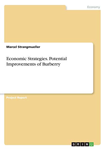 Economic Strategies. Potential Improvements of Burberry