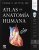 Atlas de anatomía humana (7ª ed.)