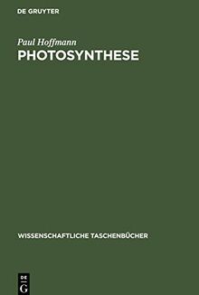 Photosynthese