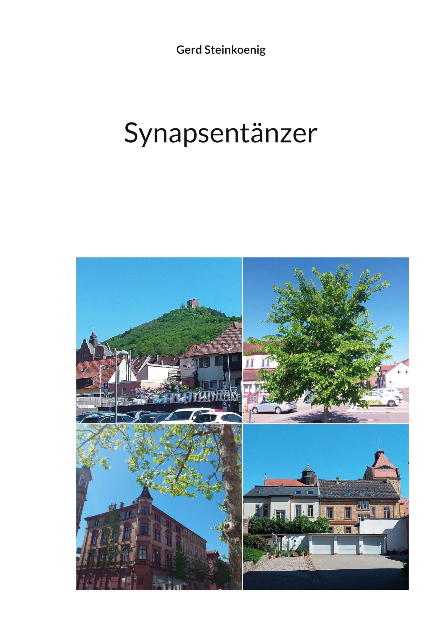 Synapsentänzer - Neuware