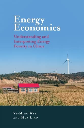 Energy Economics: Understanding and Interpreting Energy Poverty in China