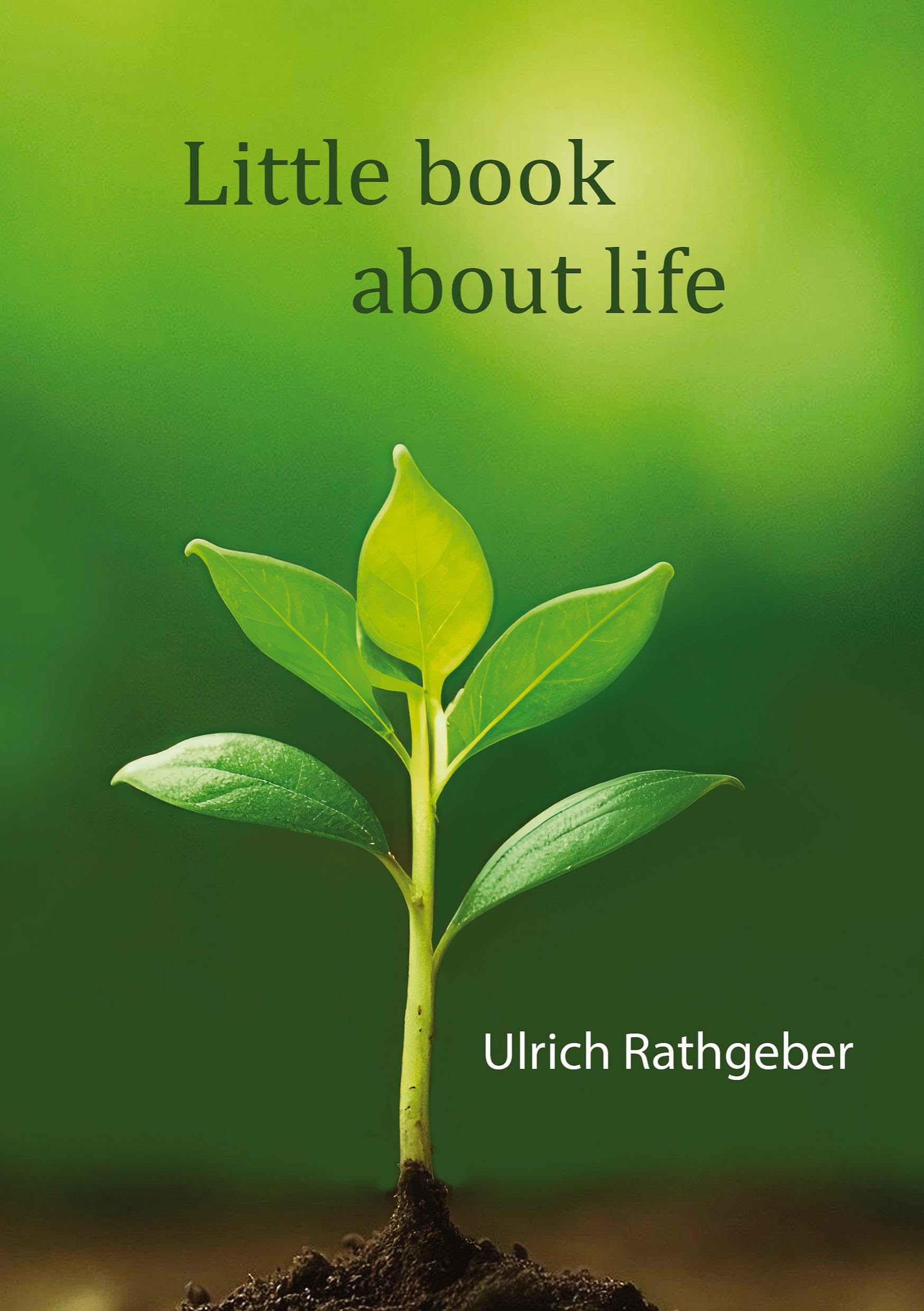 Little book about life: The essence in simple words