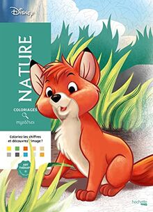 Nature : coloriages mystères
