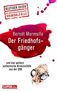 Der Friedhofsgänger: Blutiger Osten Band 66