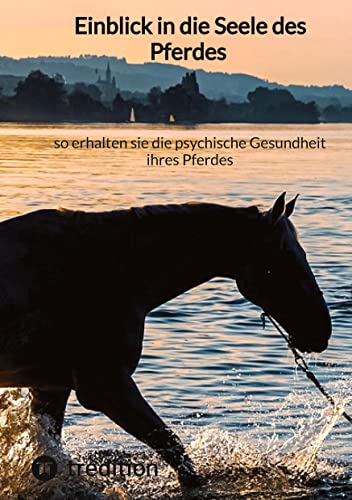 Einblick in die Seele des Pferdes – so erhalten sie die psychische Gesundheit ihres Pferdes