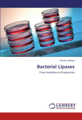 Bacterial Lipases: From Isolation to Production