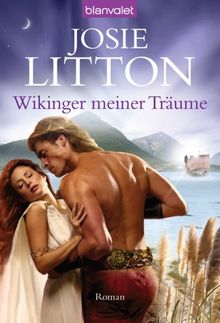 Wikinger meiner Träume: Roman