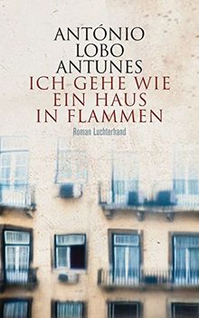 Ich gehe wie ein Haus in Flammen: Roman