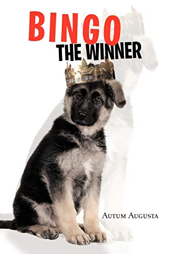 Bingo The Winner