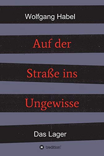 Auf der Straße ins Ungewisse: Das Lager (2 Bände: Auf der Straße ins Ungewisse)