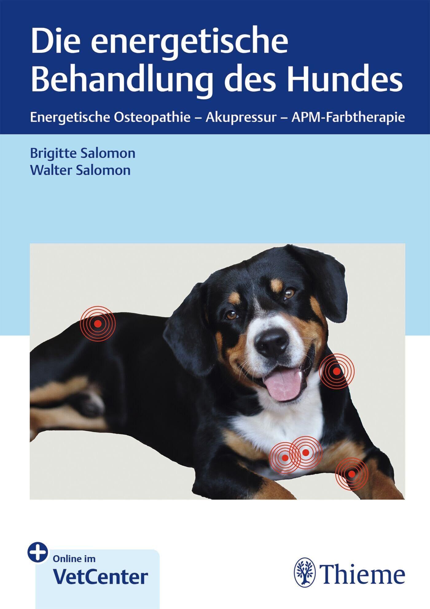 Salomon, Brigitte: Die energetische Behandlung des Hundes