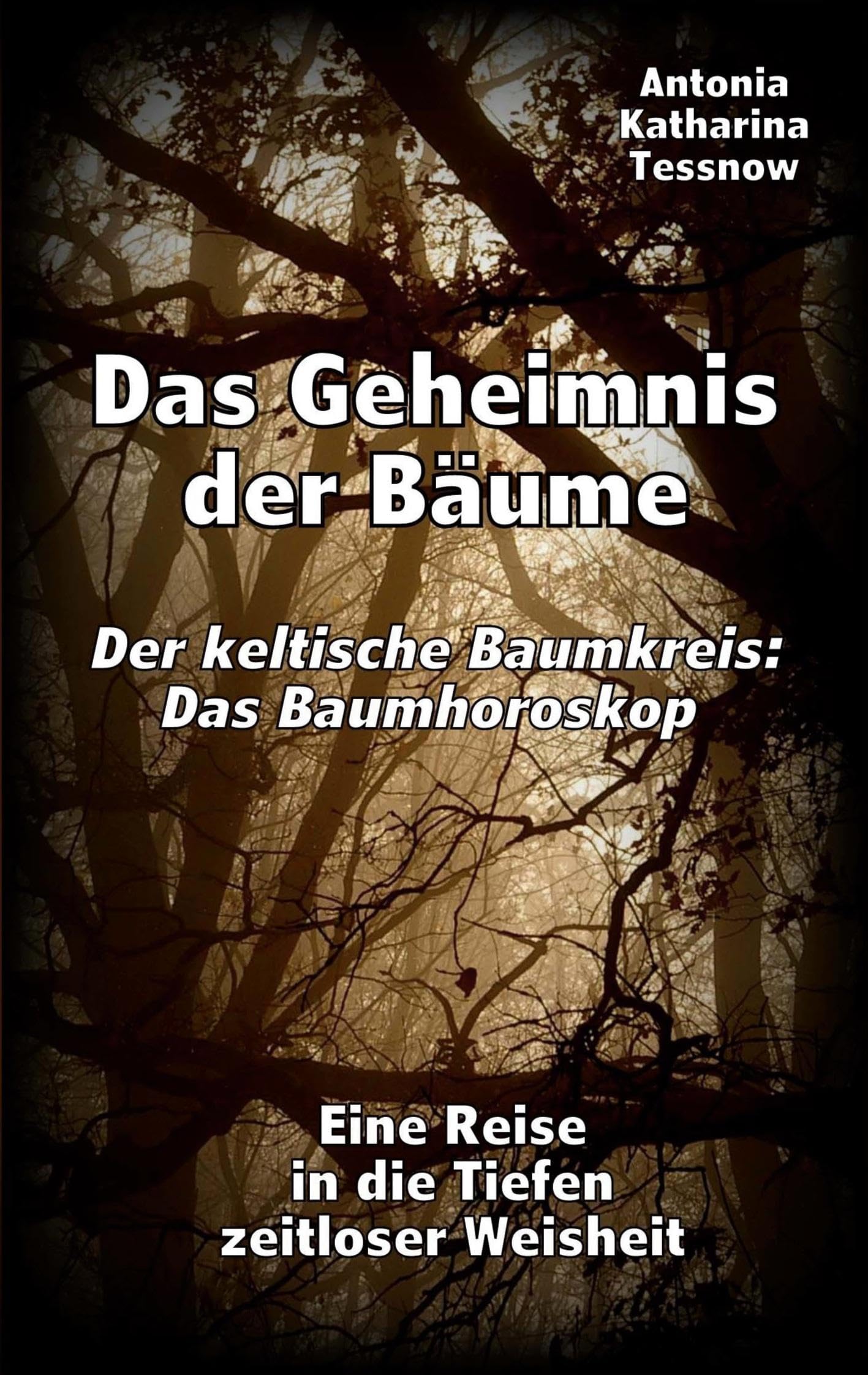Das Geheimnis der Bäume - Der keltische Baumkreis: Das Baumhoroskop: Eine Reise in die Tiefen zeitloser Weisheit