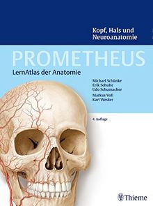 Kopf, Hals und Neuroanatomie (Prometheus: LernAtlas der Anatomie)