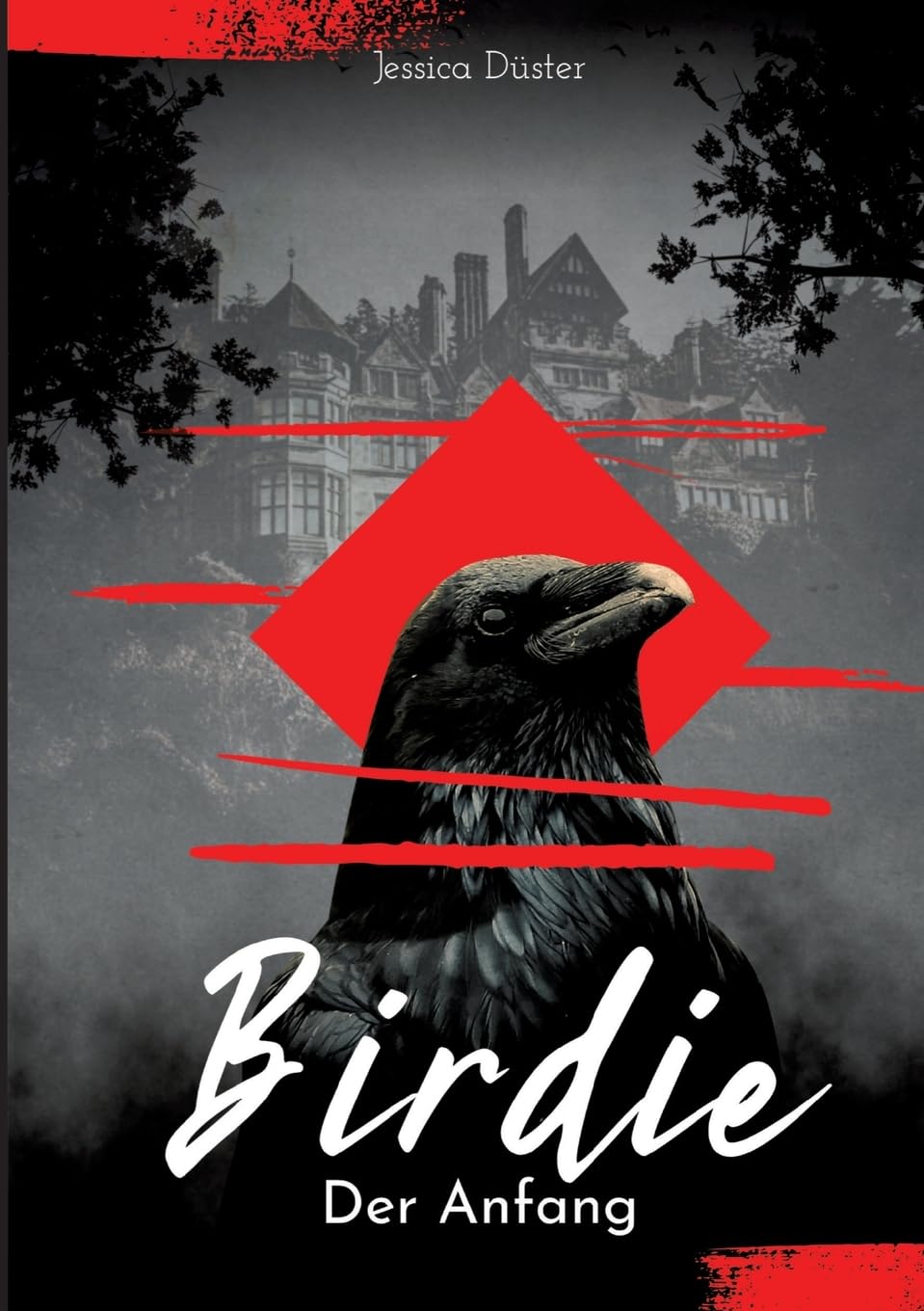 Birdie - Jessica Düster Kartoniert (TB)