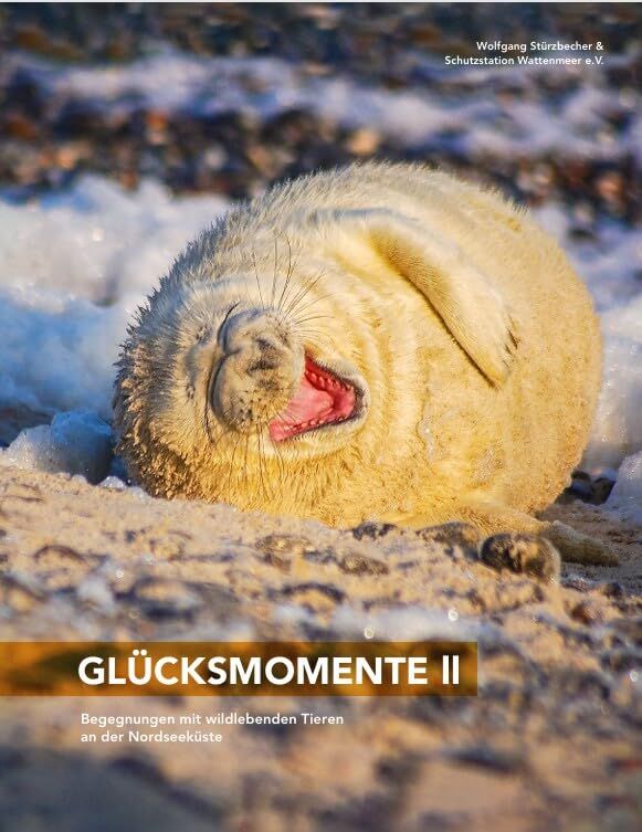 Glücksmomente II - Neuware