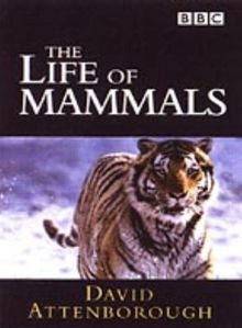 David Attenborough - The Life of Mammals [4 DVDs] [UK Import]
