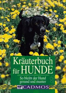 Kräuterbuch für Hunde: So bleibt ihr Hund gesund und munter