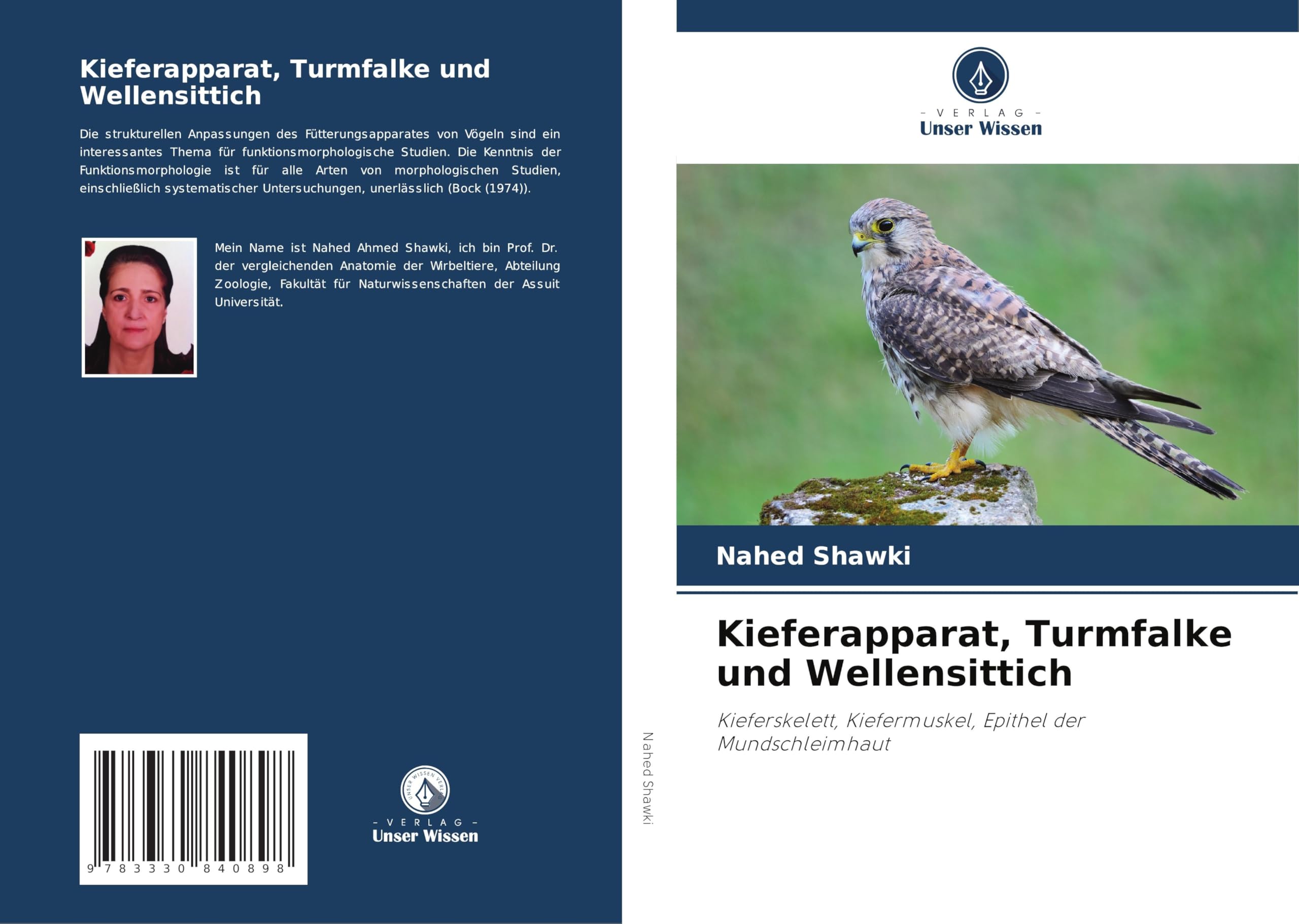 Kieferapparat, Turmfalke und Wellensittich: Kieferskelett, Kiefermuskel, Epithel der Mundschleimhaut