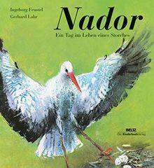 Nador: Ein Tag im Leben eines Storches | Buch | Zustand sehr gut