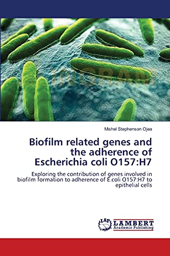 Biofilm related genes and the adherence of Escherichia coli O157:H7: Exploring the contribution of genes involved in biofilm formation to adherence of E.coli O157:H7 to epithelial cells