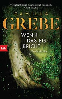 Wenn das Eis bricht: Psychothriller (Die Profilerin, Band 1)