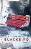 Blackbird: Roman (KiWi Geschenkbuch im Kleinformat)
