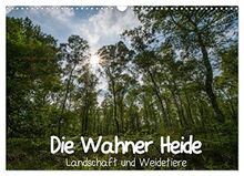 Die Wahner Heide - Landschaft und Weidetiere (Wandkalender 2023 DIN A3 quer), Calvendo Monatskalender